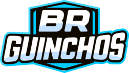 brguinchoscuritiba.com.br